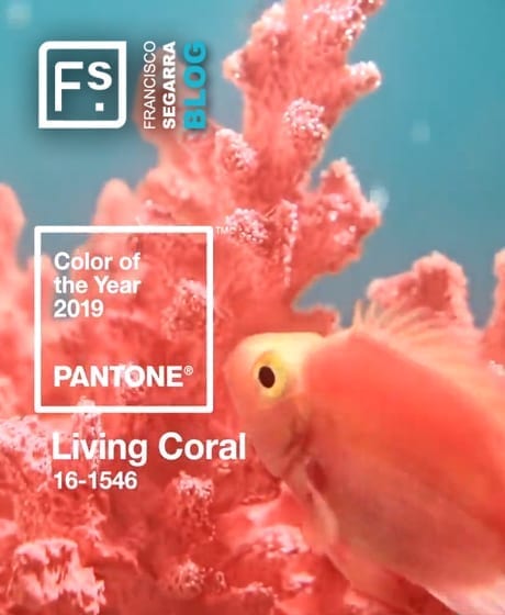 Living Coral. Pantone colour in 2019.
