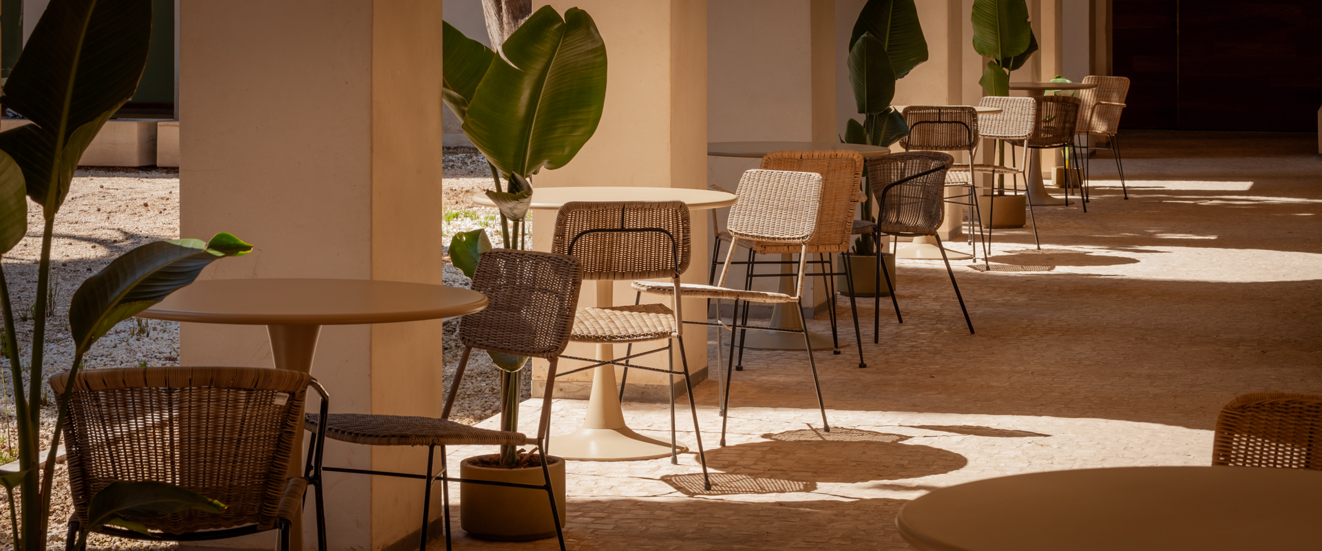 Outdoor design. Museum Cloister